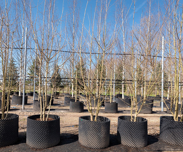 Trudo toren - airpot