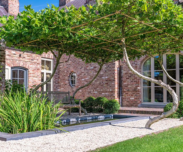 Treevolution the swing - privetuin