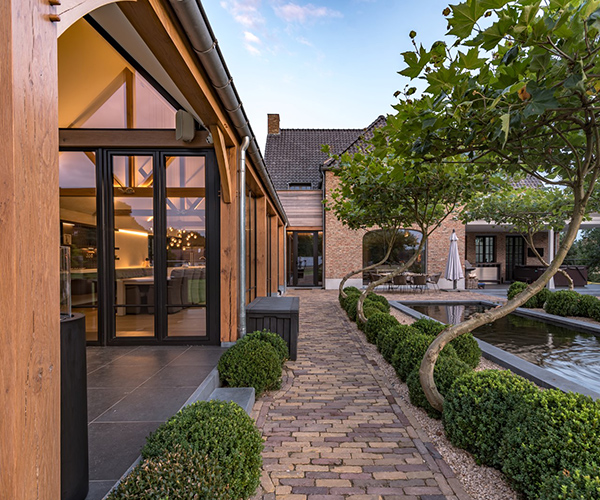 Treevoluiton - the swing - vorm